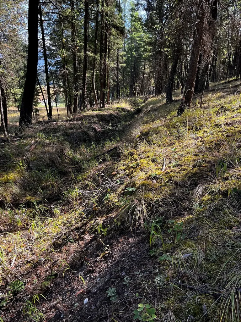 Nhn Crystal Lakes Drive Eureka MT 59917