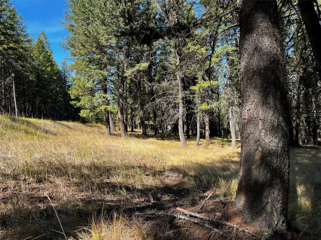 Nhn Crystal Lakes Drive Eureka MT 59917