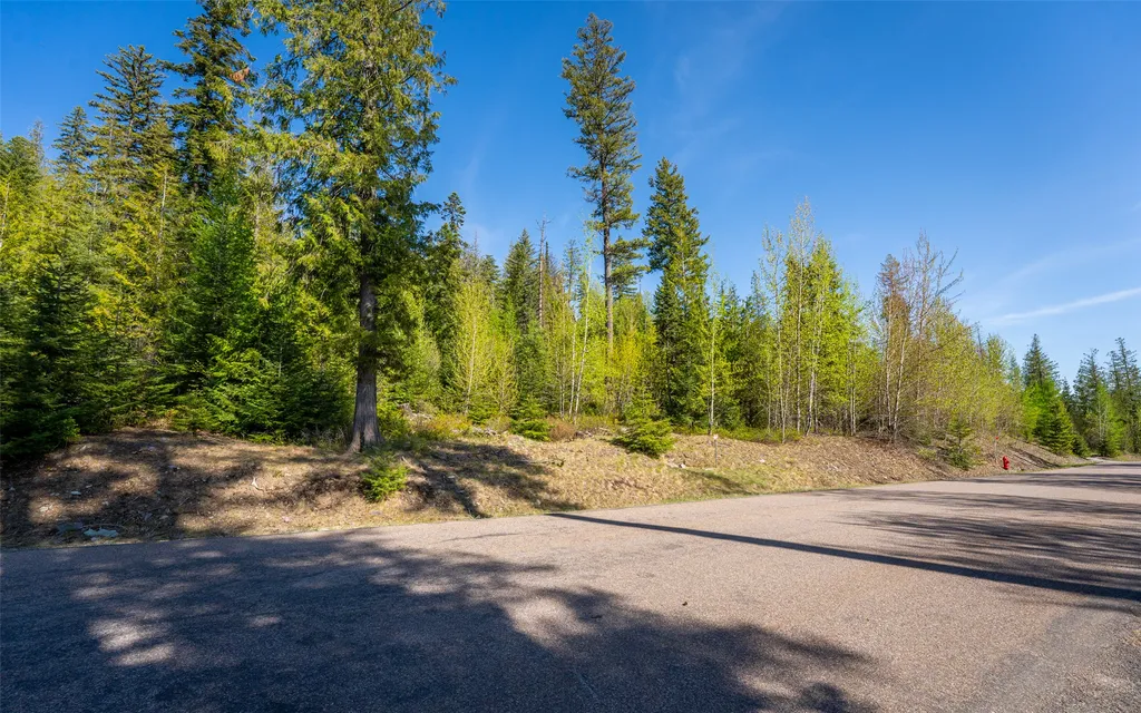 165 Woodland Star Circle Whitefish MT 59937