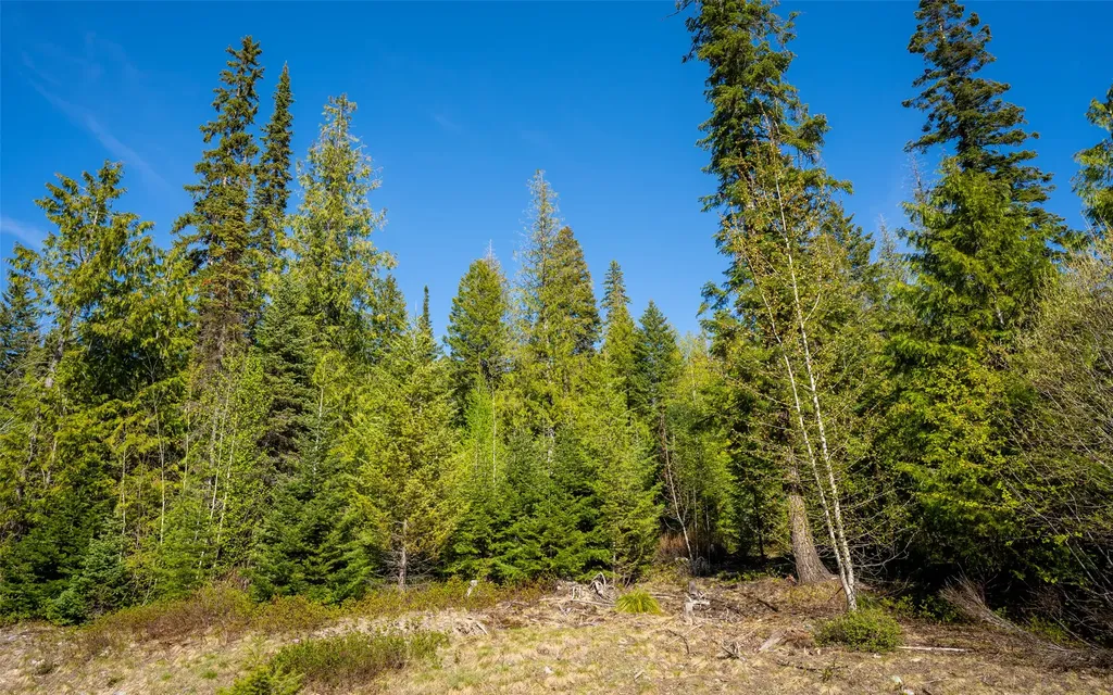 165 Woodland Star Circle Whitefish MT 59937