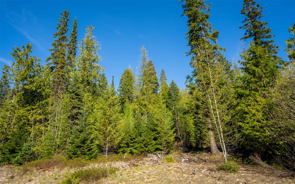 165 Woodland Star Circle Whitefish MT 59937