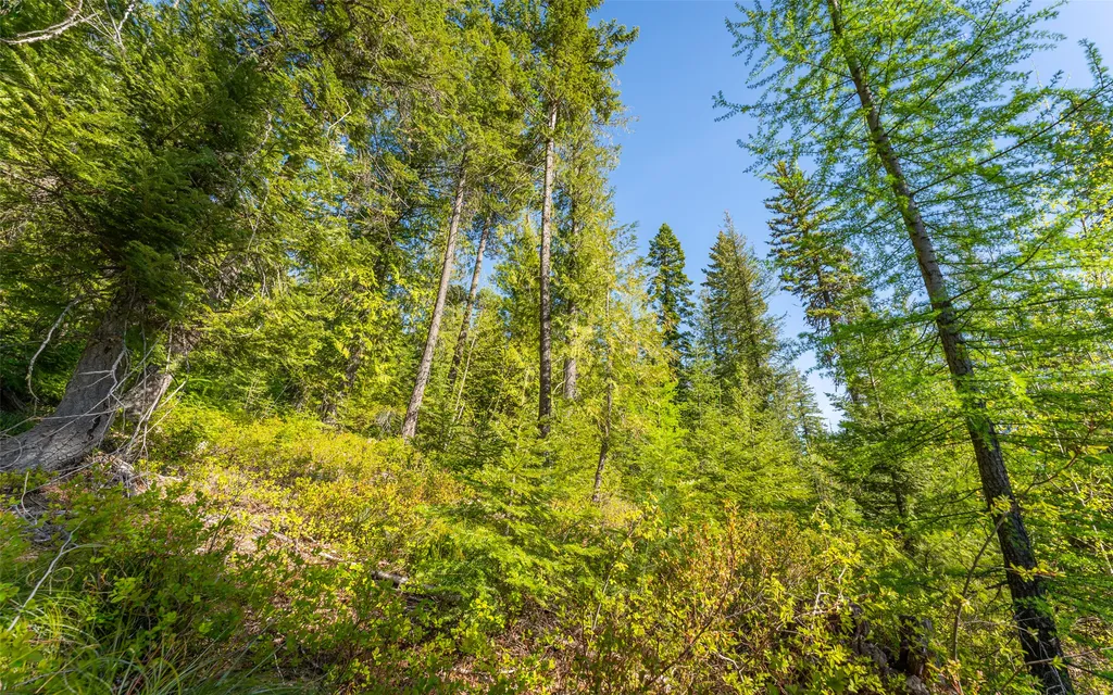 165 Woodland Star Circle Whitefish MT 59937