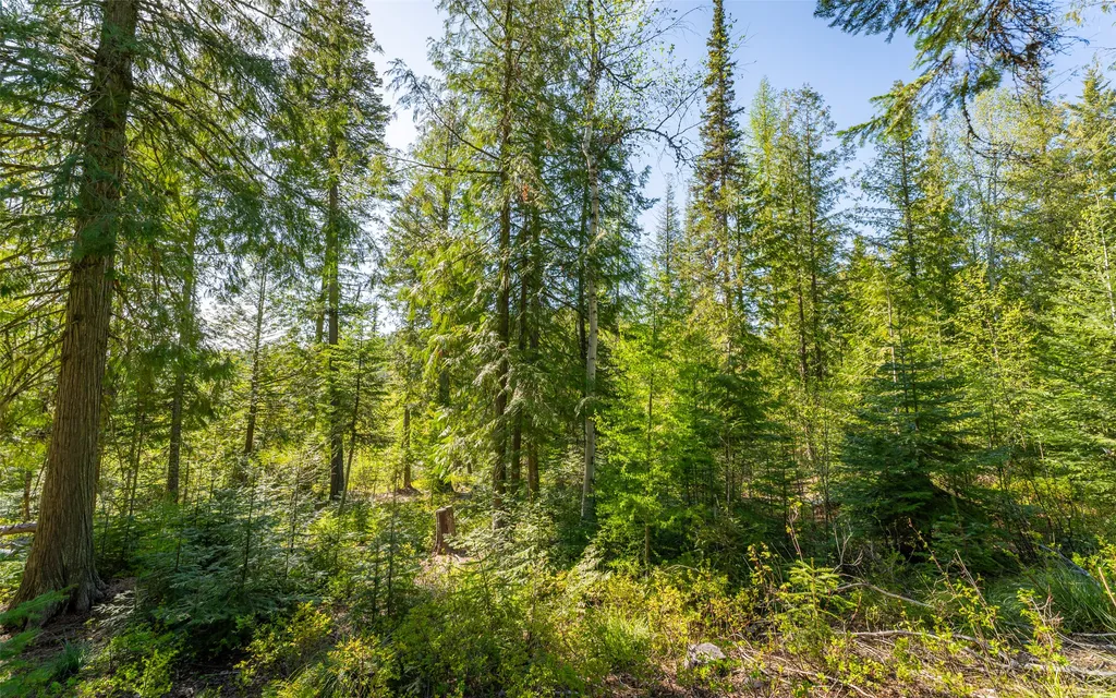 165 Woodland Star Circle Whitefish MT 59937