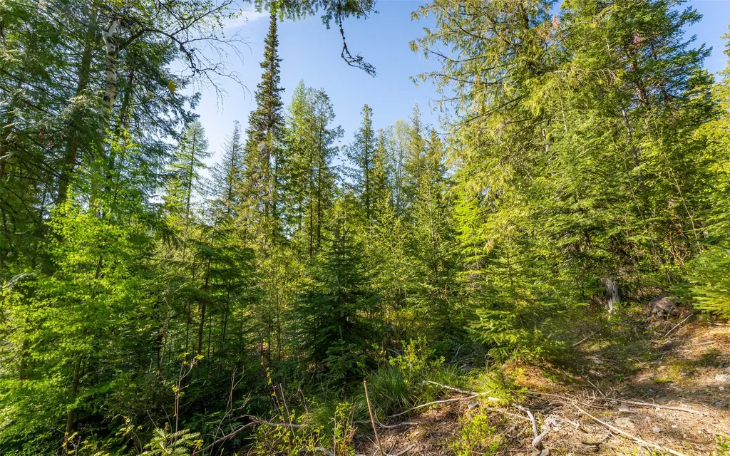 165 Woodland Star Circle Whitefish MT 59937