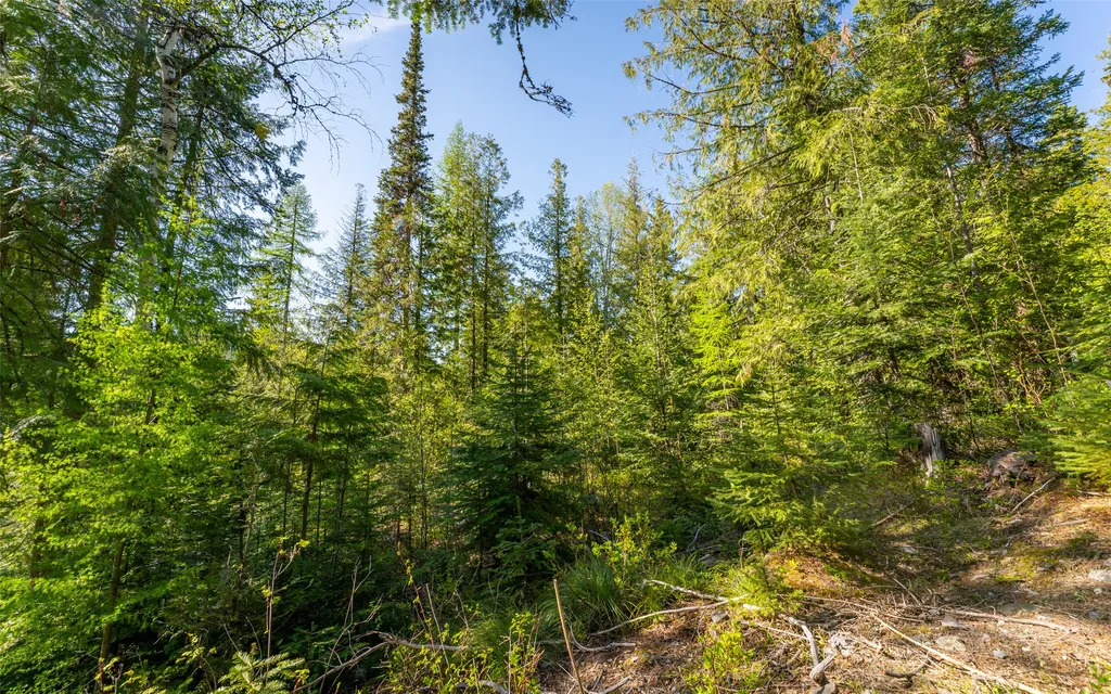 165 Woodland Star Circle Whitefish MT 59937