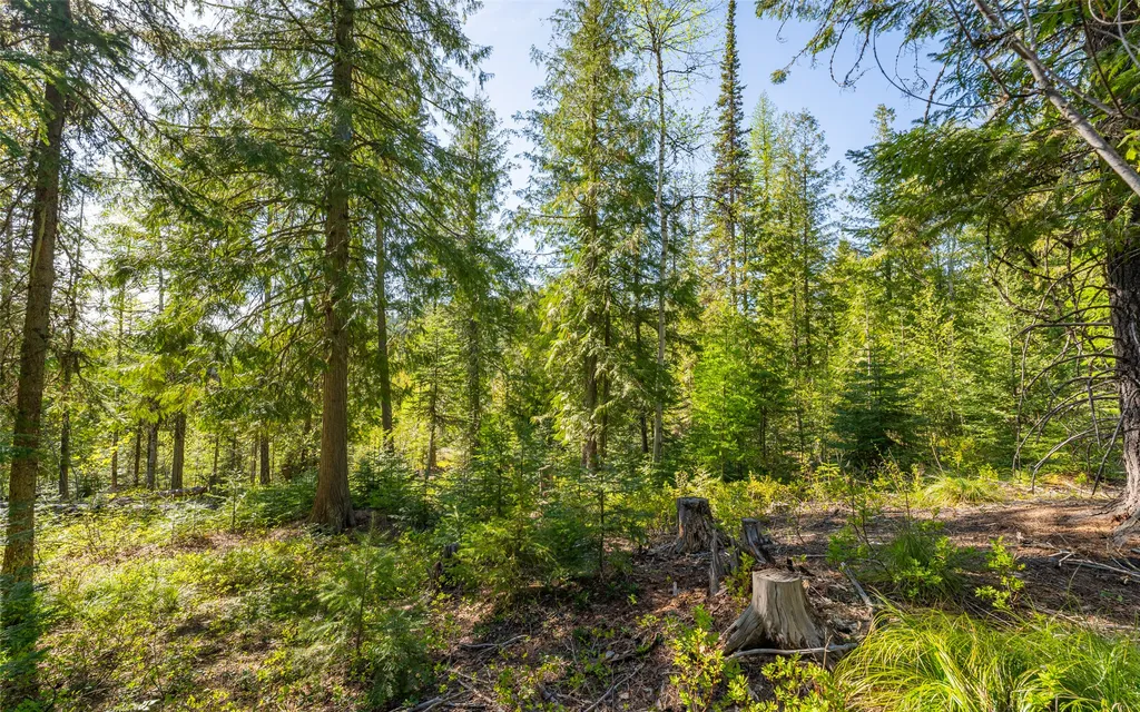 165 Woodland Star Circle Whitefish MT 59937