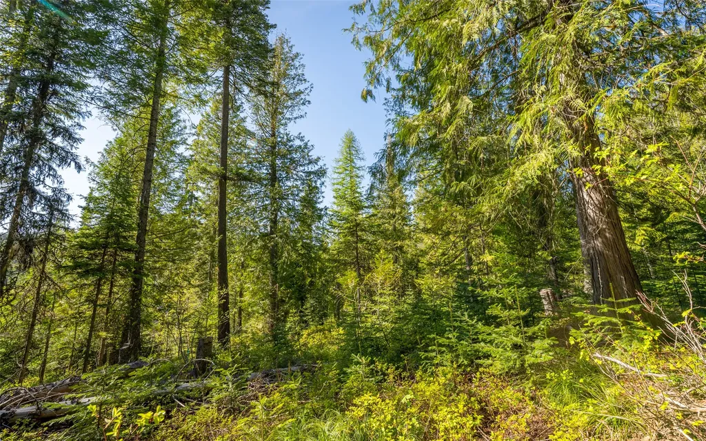 165 Woodland Star Circle Whitefish MT 59937