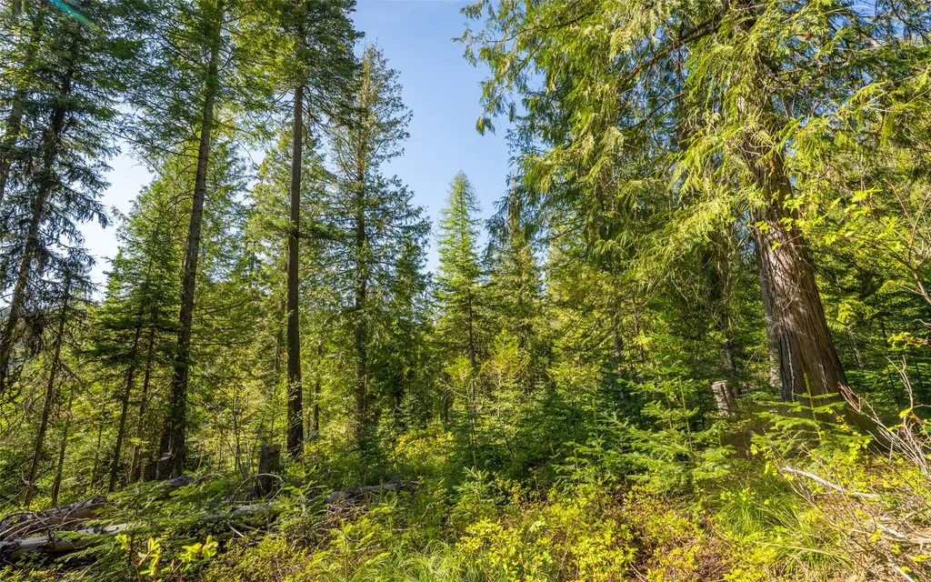165 Woodland Star Circle Whitefish MT 59937