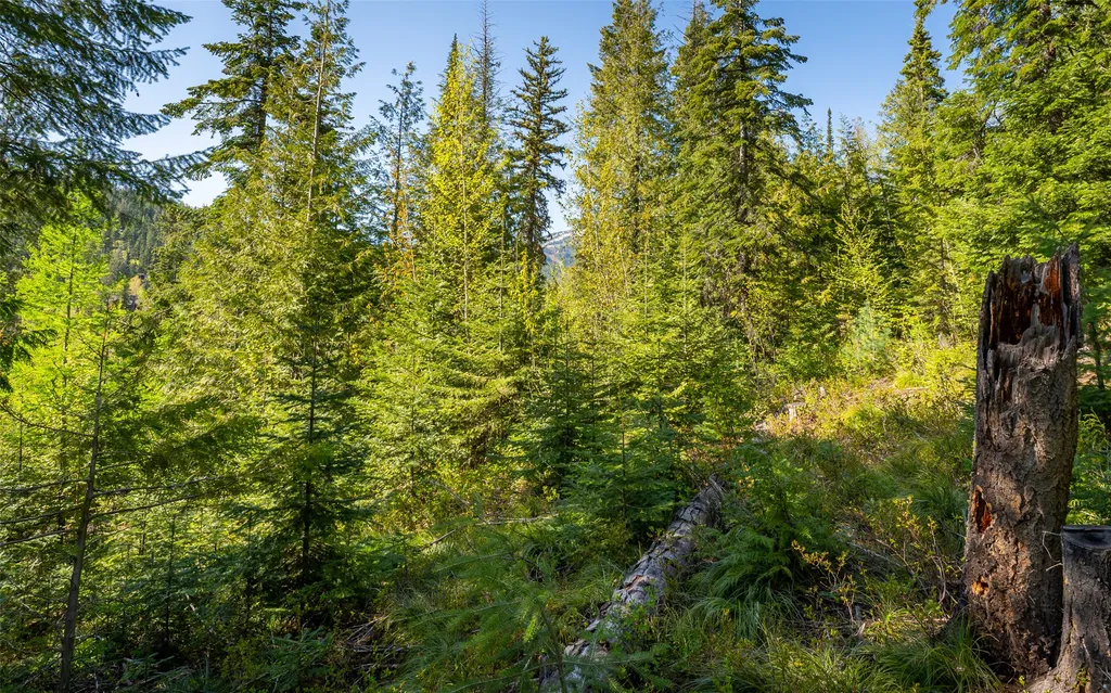 165 Woodland Star Circle Whitefish MT 59937