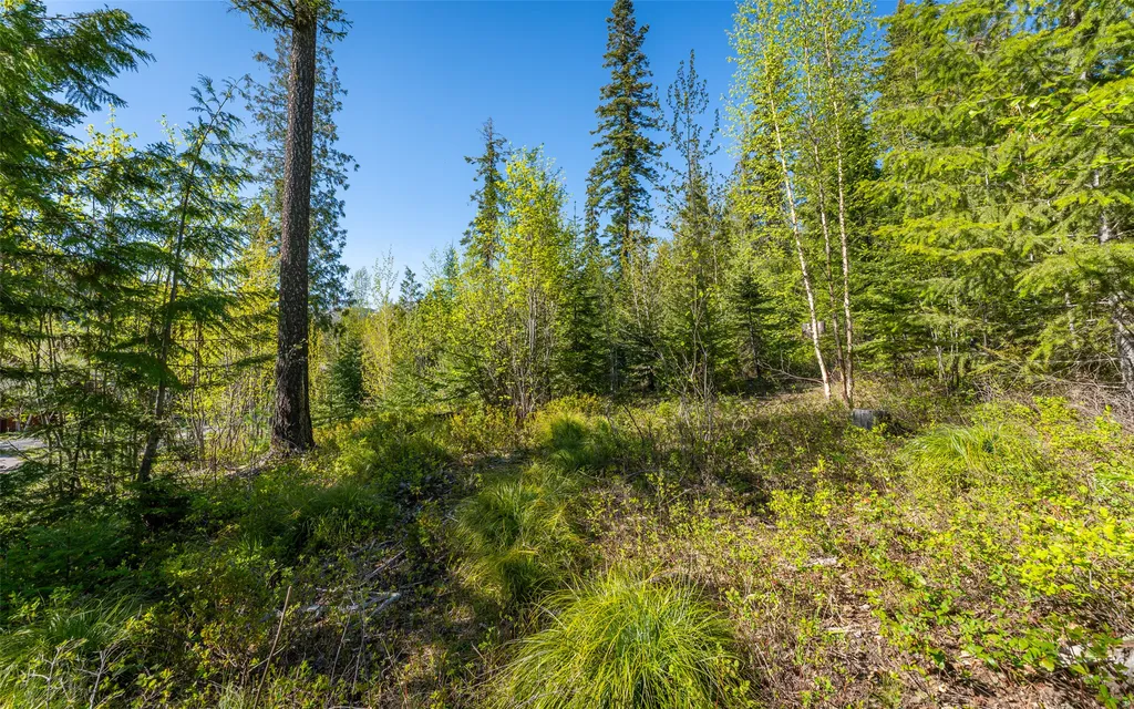 165 Woodland Star Circle Whitefish MT 59937