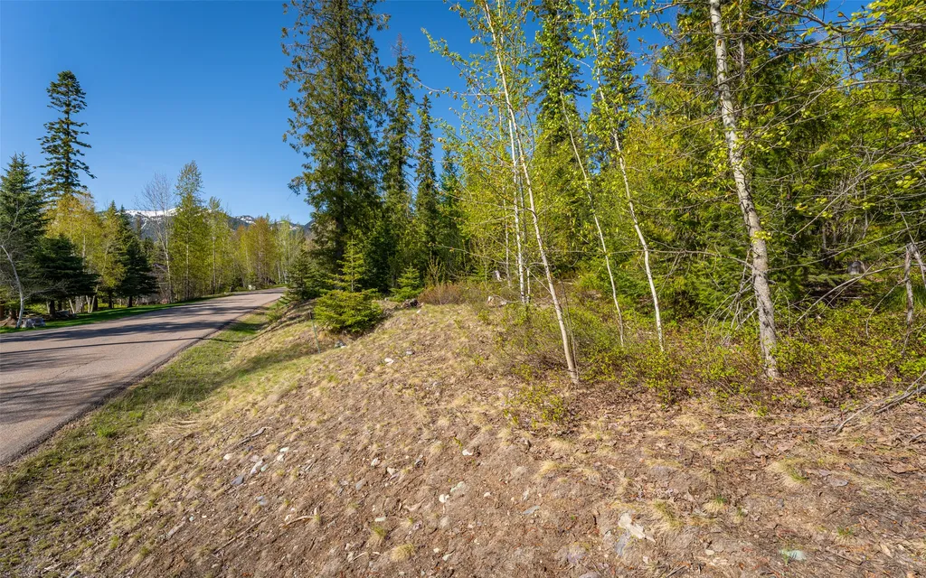 165 Woodland Star Circle Whitefish MT 59937