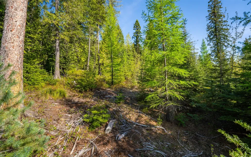165 Woodland Star Circle Whitefish MT 59937