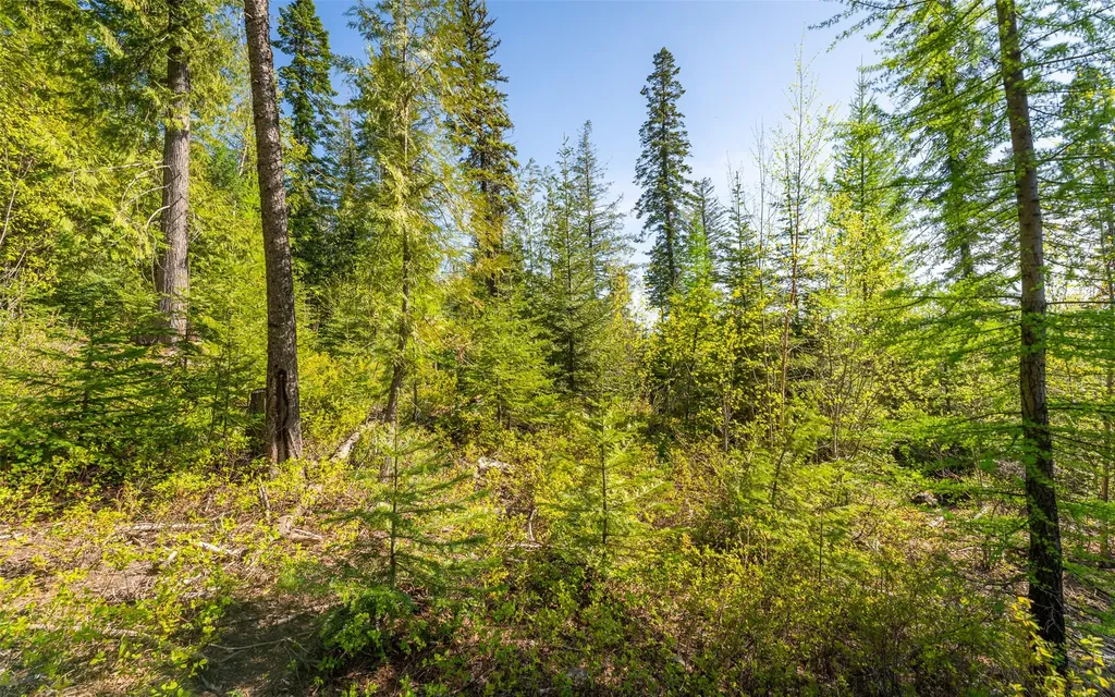 165 Woodland Star Circle Whitefish MT 59937