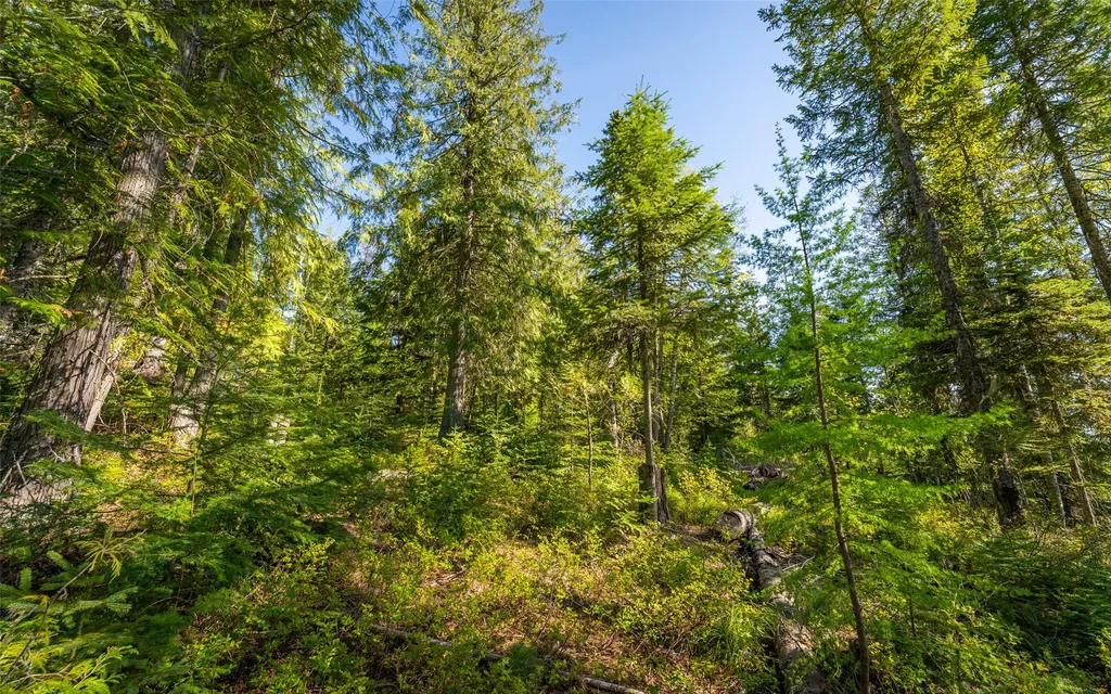 165 Woodland Star Circle Whitefish MT 59937