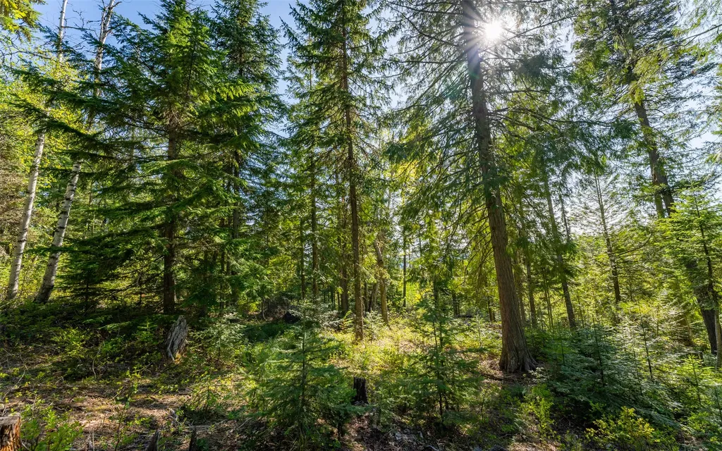 165 Woodland Star Circle Whitefish MT 59937