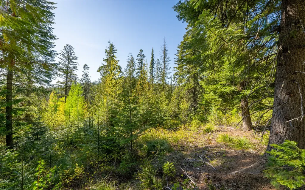 165 Woodland Star Circle Whitefish MT 59937