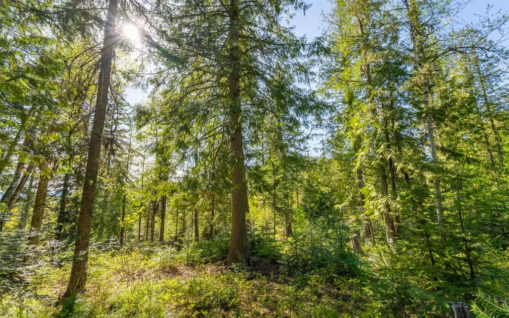 165 Woodland Star Circle Whitefish MT 59937