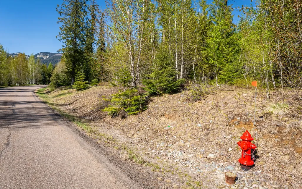 165 Woodland Star Circle Whitefish MT 59937