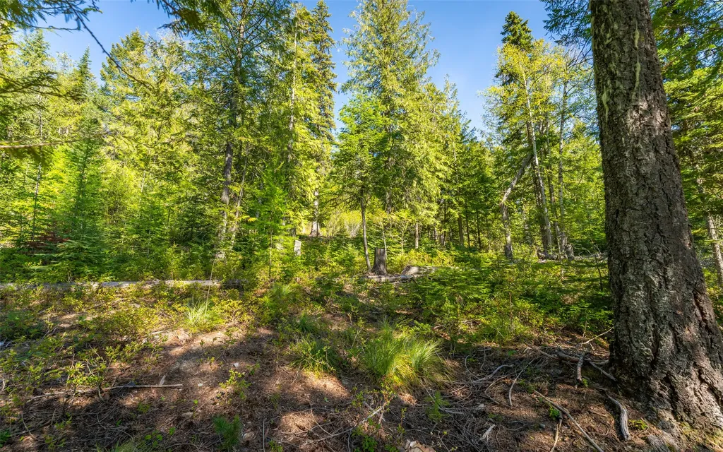 165 Woodland Star Circle Whitefish MT 59937
