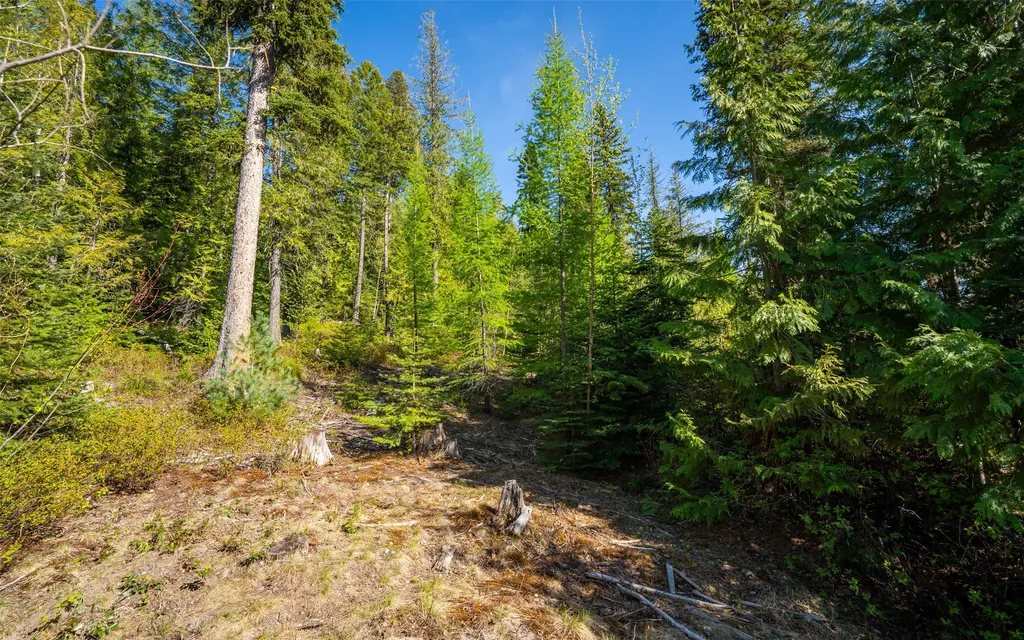 165 Woodland Star Circle Whitefish MT 59937