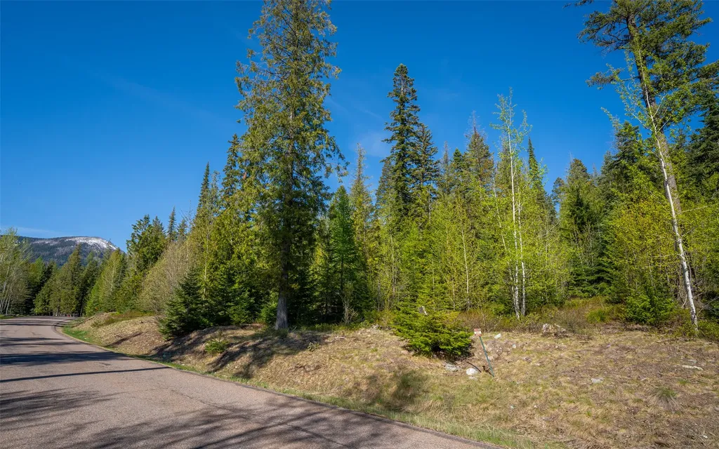 165 Woodland Star Circle Whitefish MT 59937