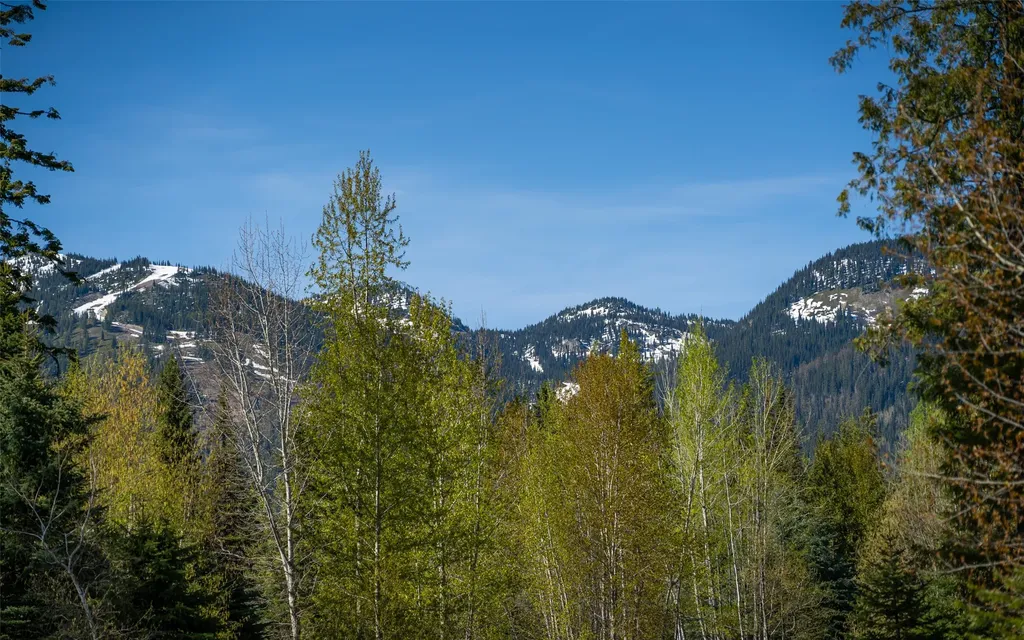 165 Woodland Star Circle Whitefish MT 59937
