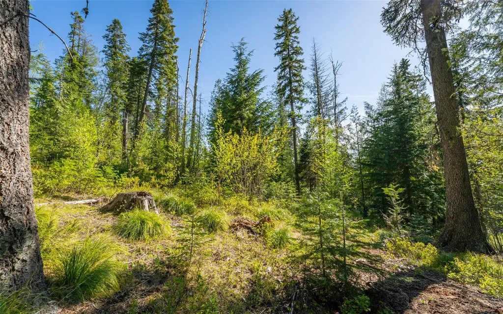 165 Woodland Star Circle Whitefish MT 59937