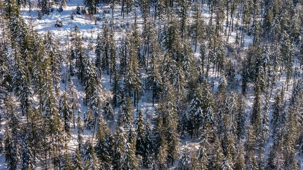 165 Woodland Star Circle Whitefish MT 59937
