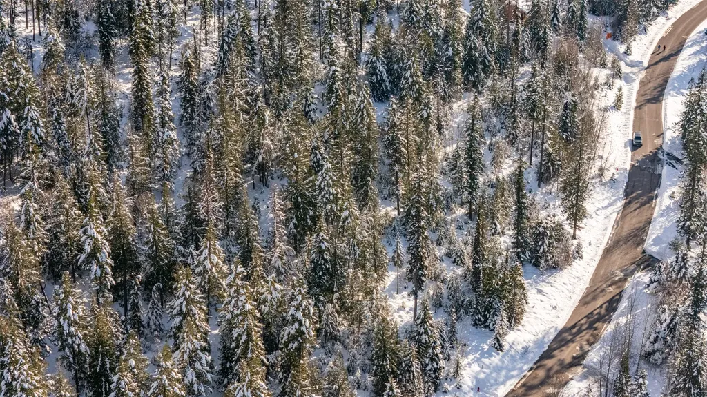 165 Woodland Star Circle Whitefish MT 59937