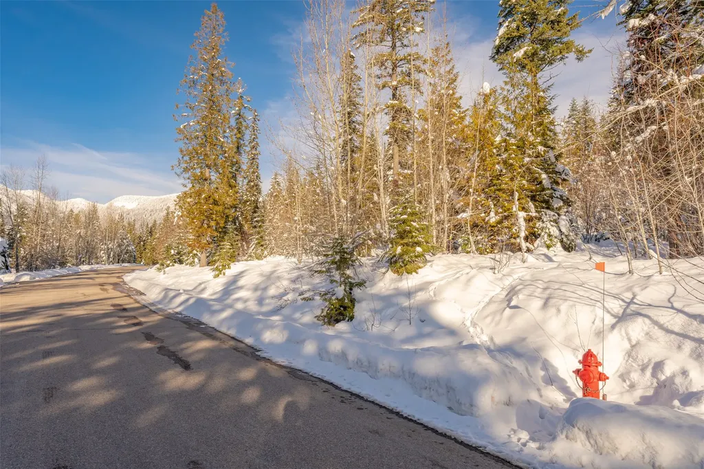 165 Woodland Star Circle Whitefish MT 59937