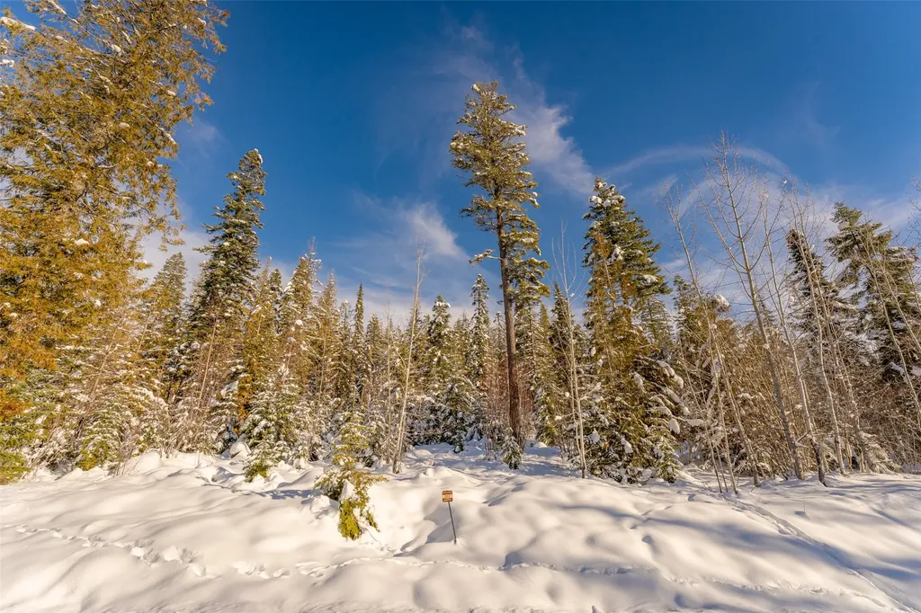 165 Woodland Star Circle Whitefish MT 59937