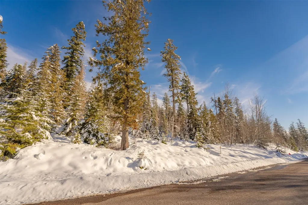 165 Woodland Star Circle Whitefish MT 59937