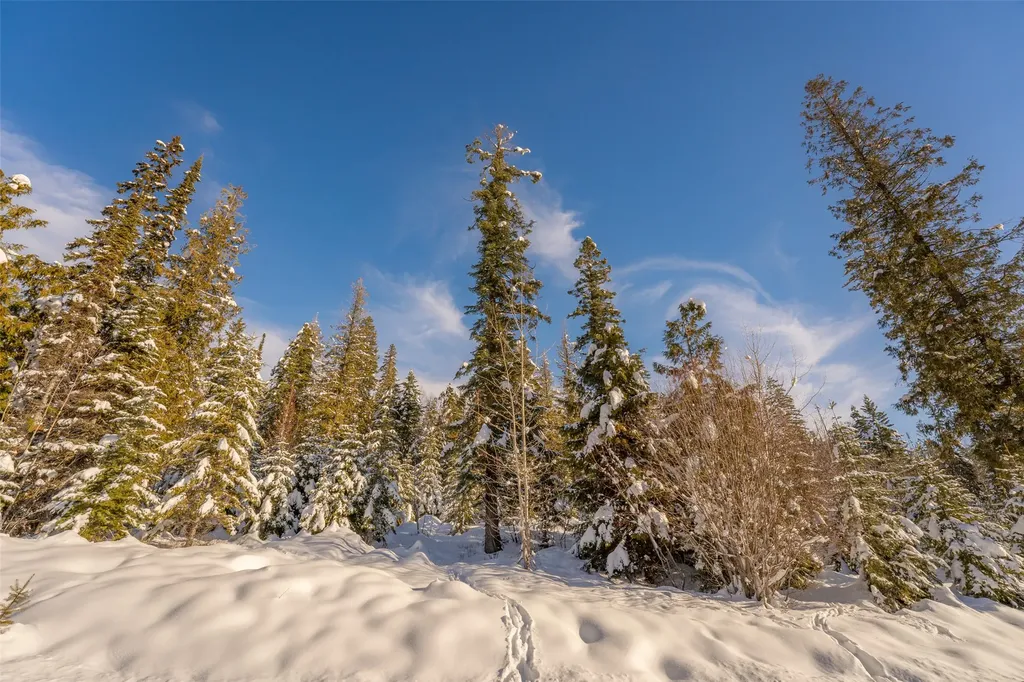 165 Woodland Star Circle Whitefish MT 59937