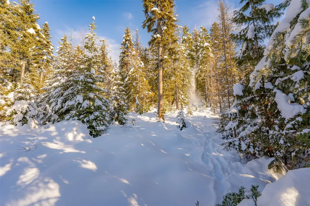 165 Woodland Star Circle Whitefish MT 59937