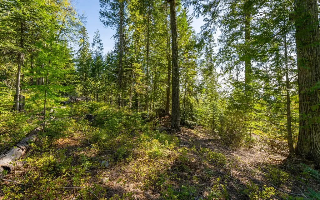 165 Woodland Star Circle Whitefish MT 59937