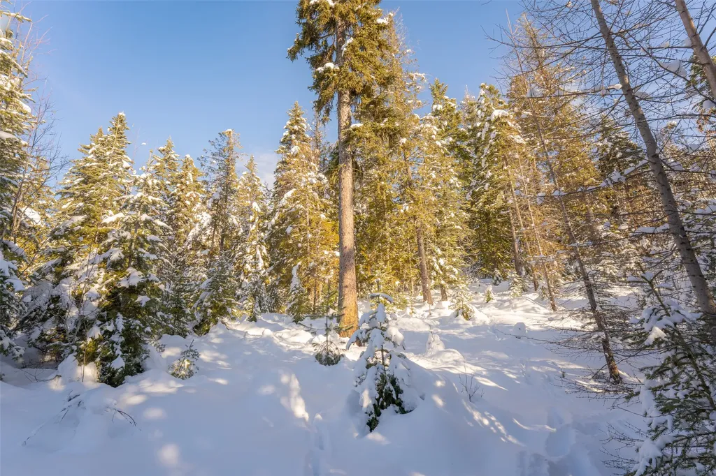 165 Woodland Star Circle Whitefish MT 59937