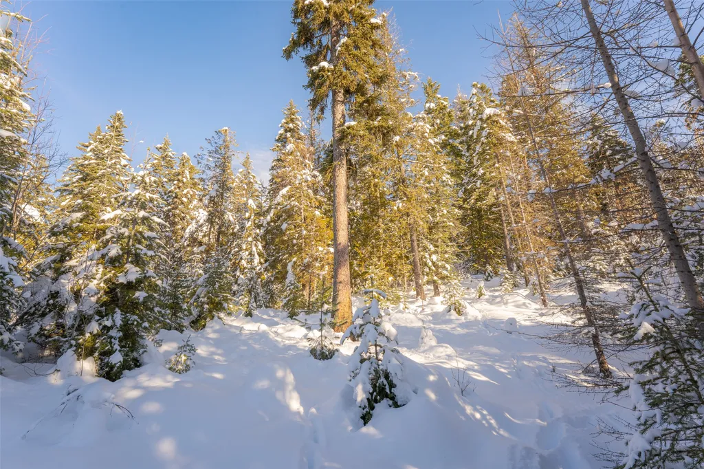 165 Woodland Star Circle Whitefish MT 59937