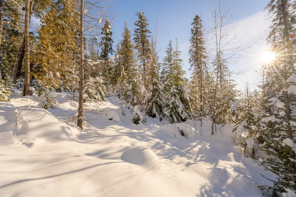 165 Woodland Star Circle Whitefish MT 59937