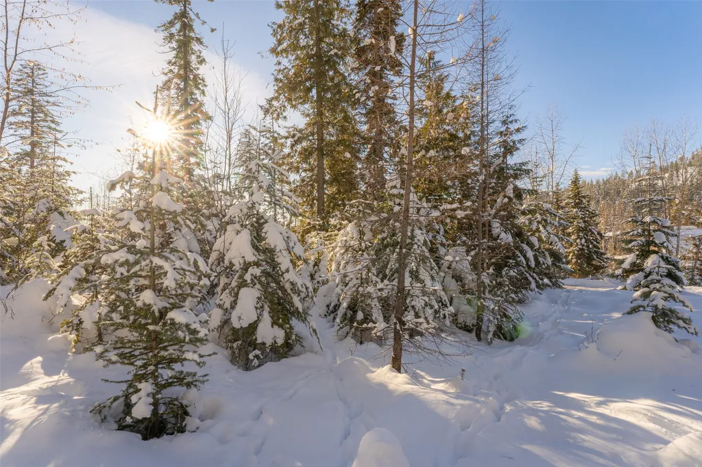 165 Woodland Star Circle Whitefish MT 59937