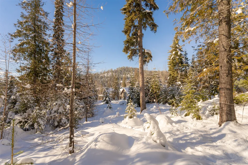 165 Woodland Star Circle Whitefish MT 59937
