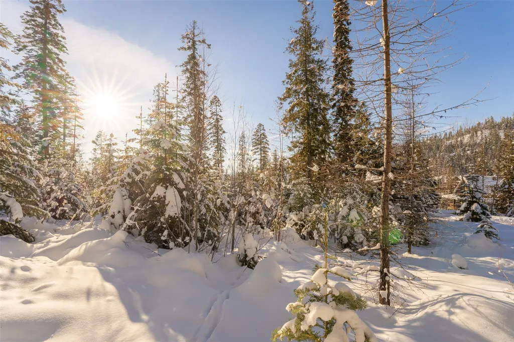 165 Woodland Star Circle Whitefish MT 59937