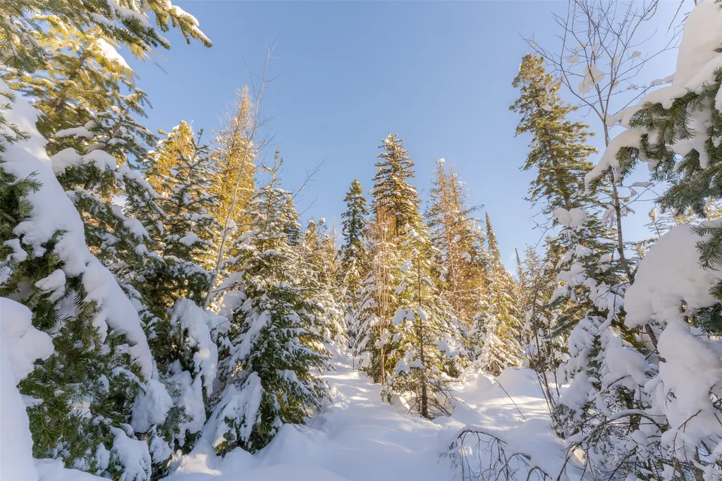 165 Woodland Star Circle Whitefish MT 59937