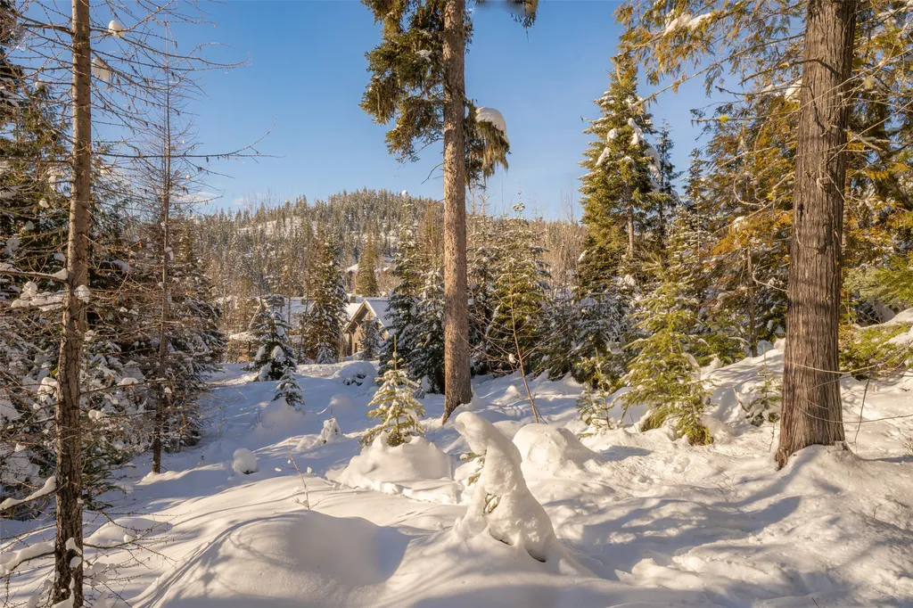 165 Woodland Star Circle Whitefish MT 59937