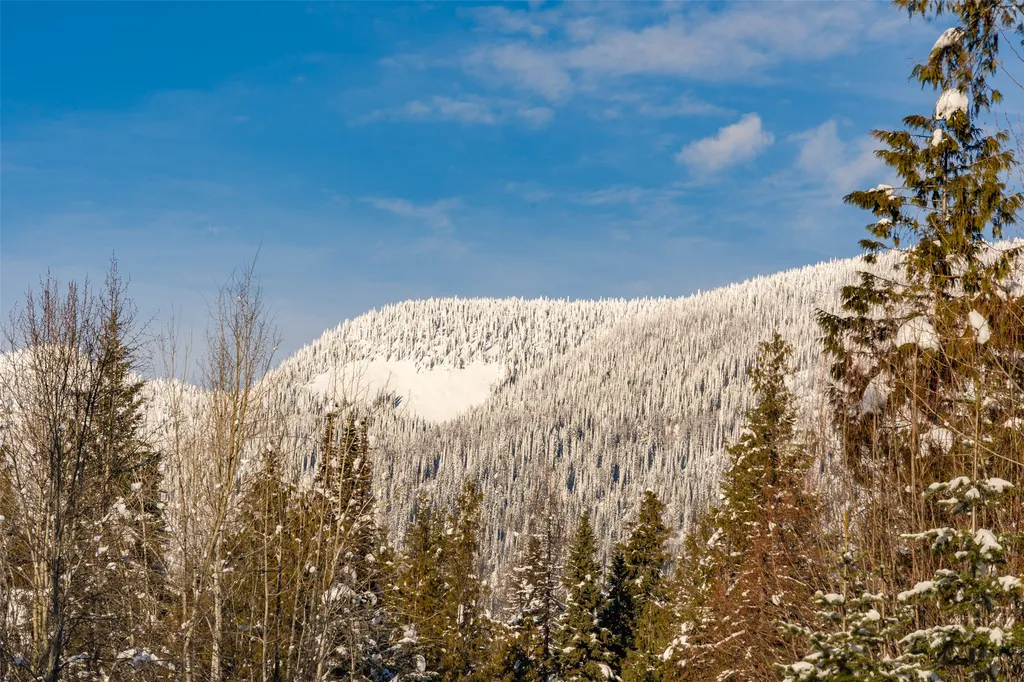 165 Woodland Star Circle Whitefish MT 59937