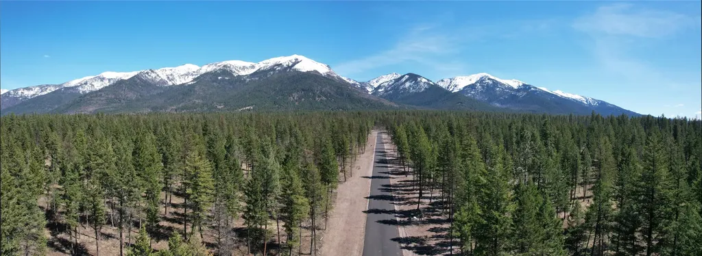 5 Snowy Owl Lane Bigfork MT 59911
