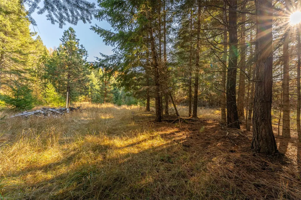 156 Peters Creek Way Kalispell MT 59901