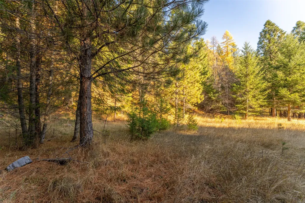 156 Peters Creek Way Kalispell MT 59901