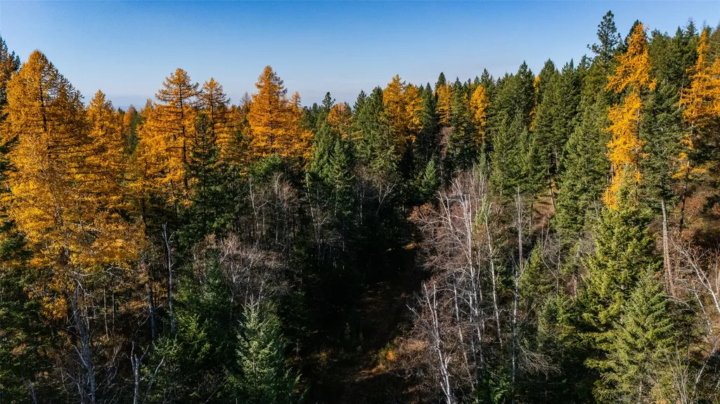 156 Peters Creek Way Kalispell MT 59901