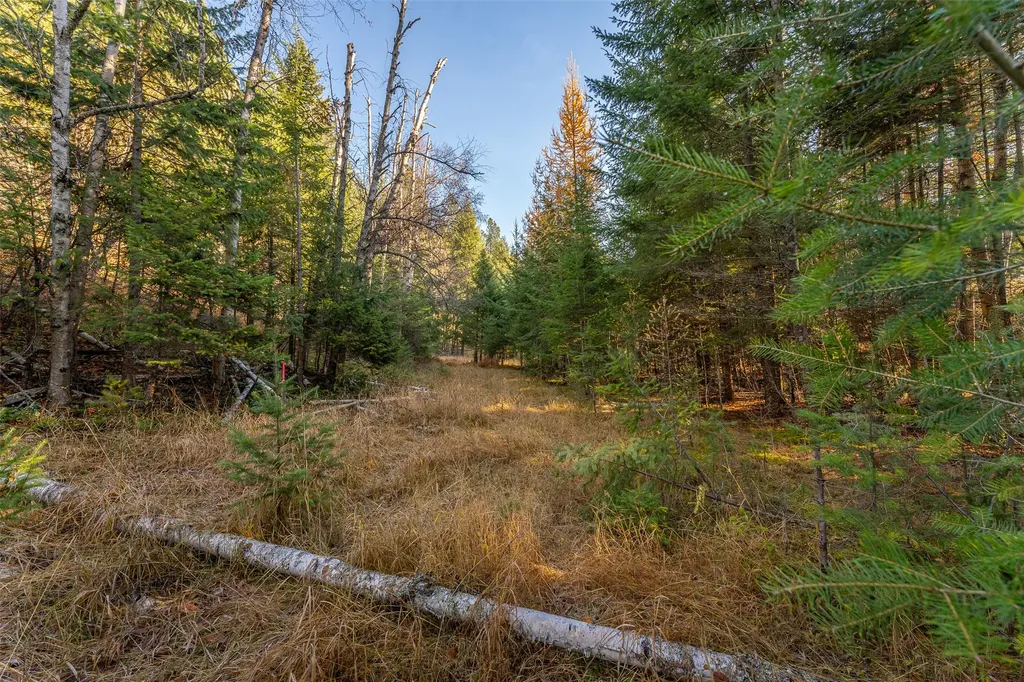156 Peters Creek Way Kalispell MT 59901