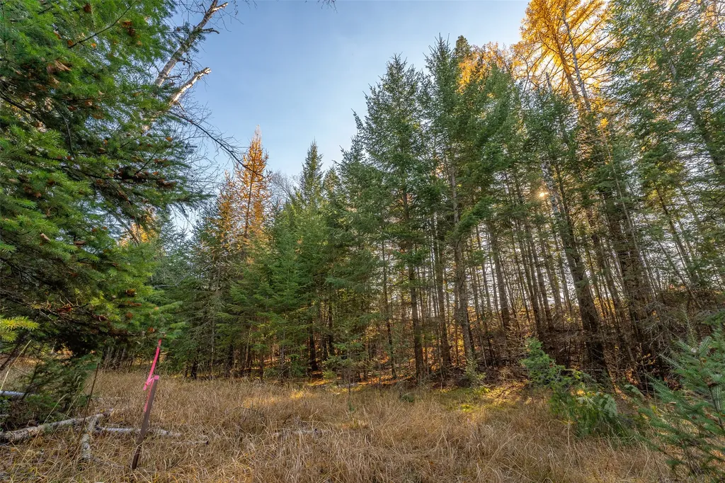 156 Peters Creek Way Kalispell MT 59901